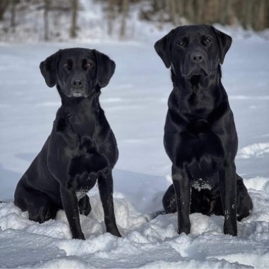 Asta och Uno (foto: Catarina Svenningsson)