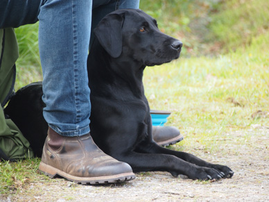 Capandus Aya (© Capandus kennel)