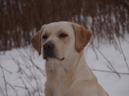 Benson