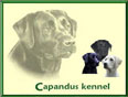Capandus kennel