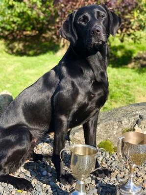 Peallaidh Caledonia "Cari"