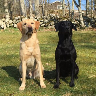 Ceili & Milton