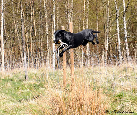 Dimma p trning fr Phil Garton i maj 2012