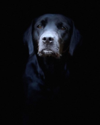 Capandus Doris Day (foto: Sanna Andersson)