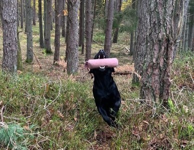 Capandus Doris Day (foto: Sanna Andersson)