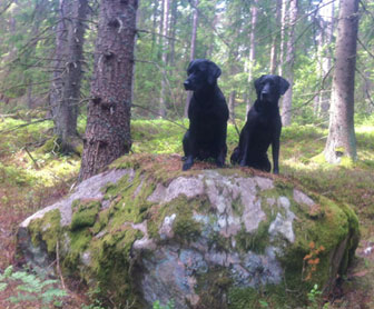 Elda och Alice