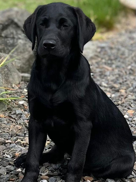 Peallaidh Finnieston "Finn" 2022 (foto: Helen Paterson)