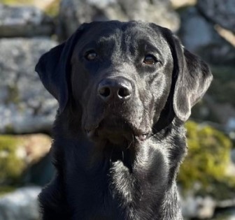 Peallaidh Finnieston "Finn" 1 r