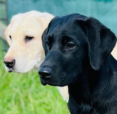 Peallaidh Finnieston "Finn" 2022 (foto: Helen Paterson)