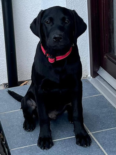 Peallaidh Finnieston "Finn" 2022 (foto: Helen Paterson)