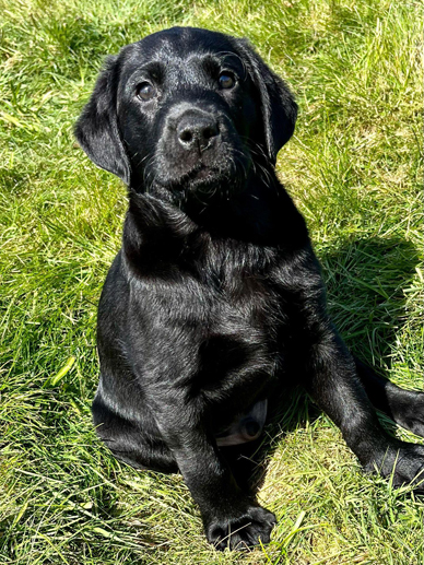 Peallaidh Finnieston "Finn" (foto: Helen Paterson)