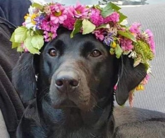 Hera