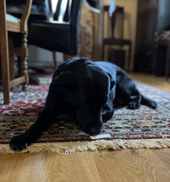 Hera