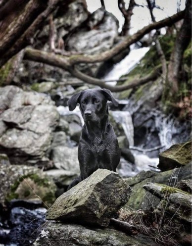 Hera
