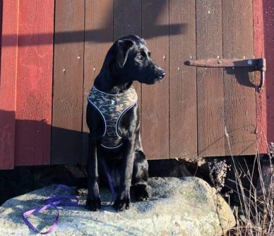 Hera (foto: )