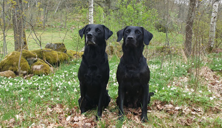 Issey & Ceili