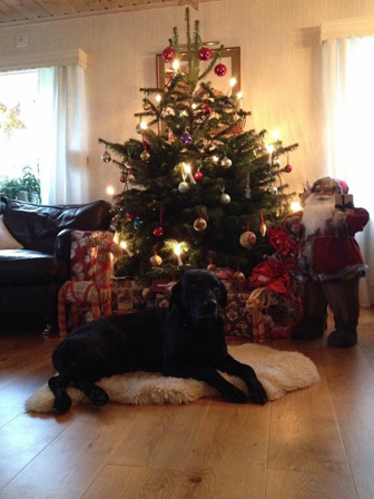 God jul!
