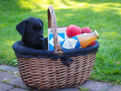 Apple-kullen