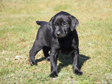 Allan, vecka 7 (foto: Catarina Svenningsson)