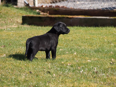 Ciara, vecka 7 (foto: Catarina Svenningsson)