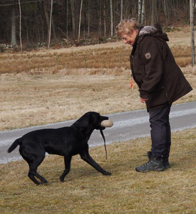 Capandus Skye Leslie Castle "Lava" och Lotta