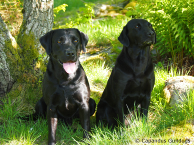 Ove och Sansa (foto: Catarina Svenningsson)
