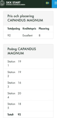 Capandus Magnum Rossi Unghundsderby 2024