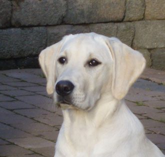 Sarah, juni 2009
