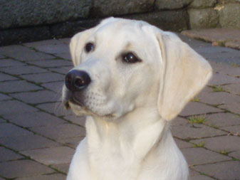 Sarah, juni 2009