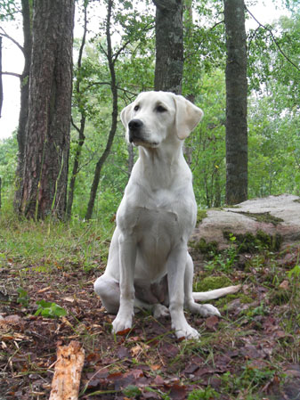 Sarah (Fegen, juli 2009)