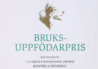 Svenska Kennelklubbens Bruksuppfdarpris