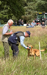 Game Fair p Scone Castle