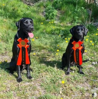 Solo & Myrra