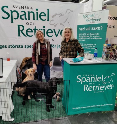 SSRK My Dog 2024