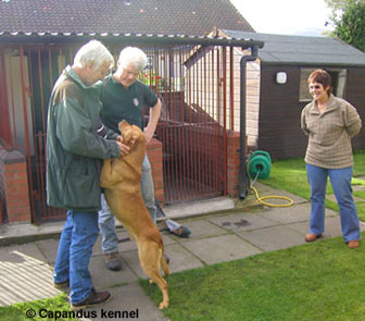 Kjell, Tom, Nicki & GBFTCH Craighorn Bracken