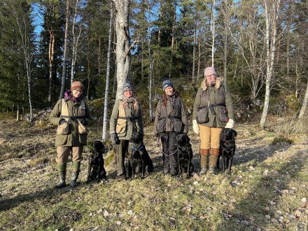 Trning - en helt vanlig mndag eftermiddag