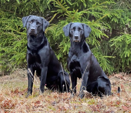 Uno och Asta (foto: Catarina Svenningsson)