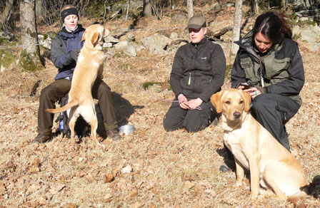 valpträff 2013 04 07