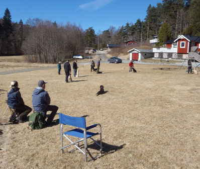 valpträff 2013 04 07