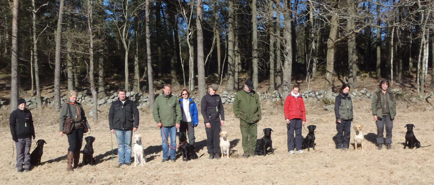 valpträff 2013 04 07