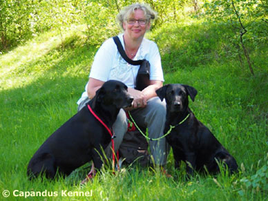 Katarina, Alice och Dimma
